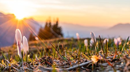 Die besten Reiseziele für jeden Monat! - koffer-direkt.de