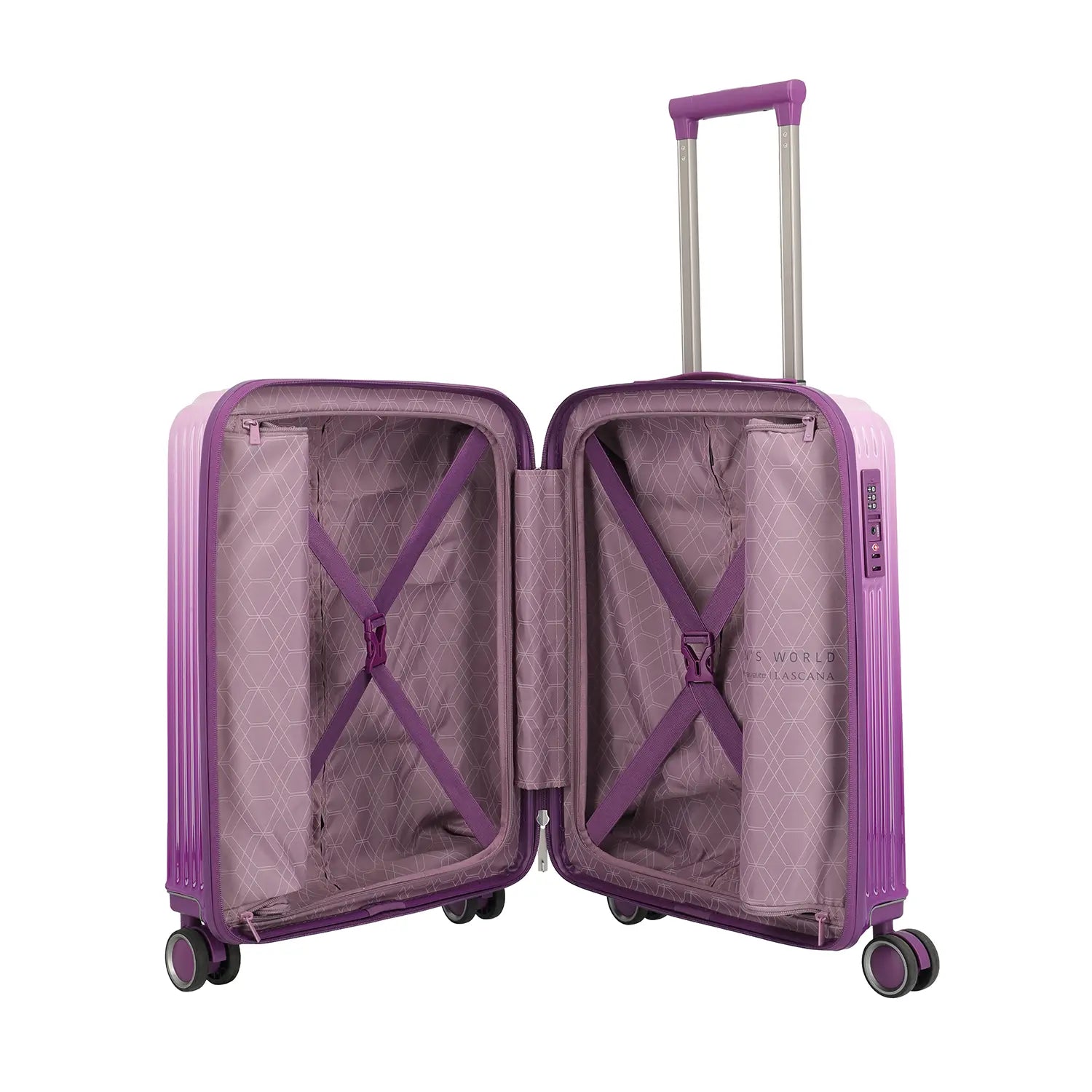 Trolley Innenaufteilung mit zwei separaten Packwänden und Kreuzpackgurten für optimale Organisation