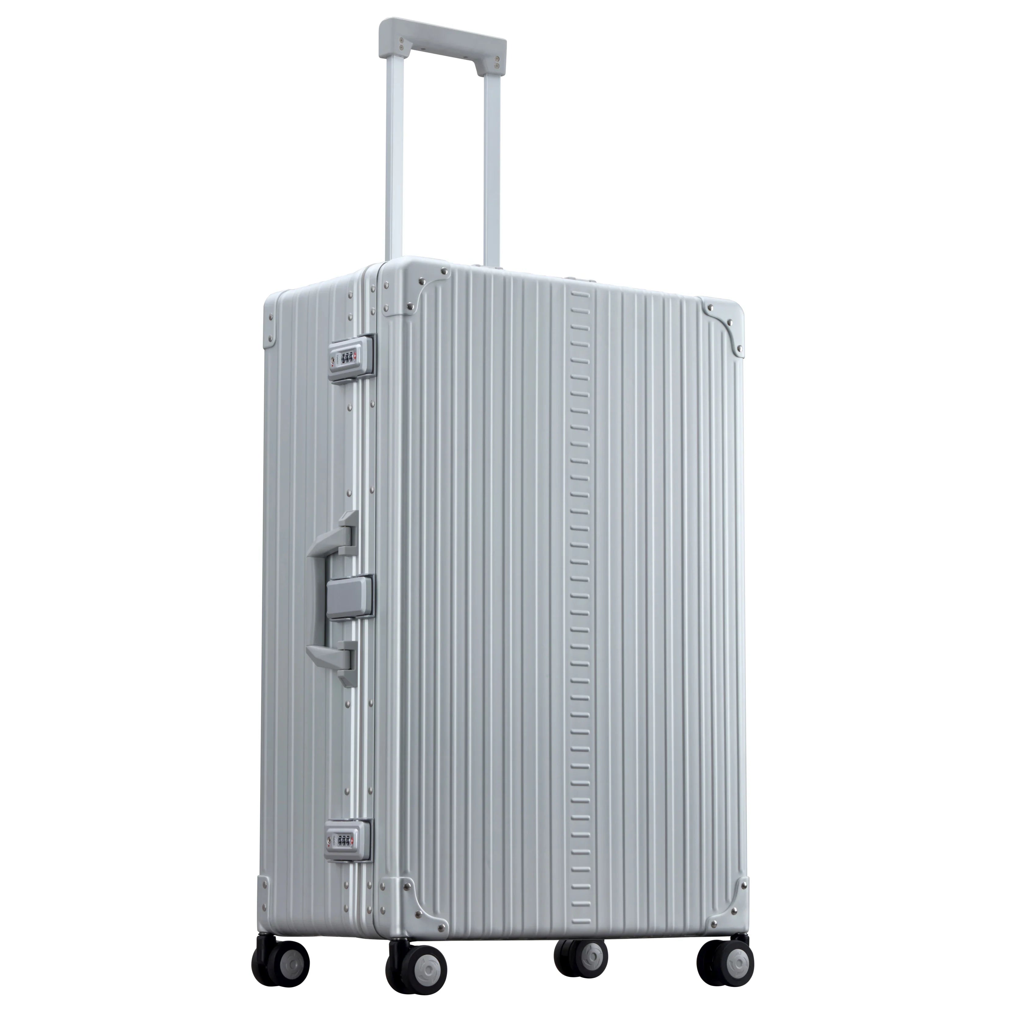 Aleon Macro Traveler 4-Rollen Trolley 30 Zoll mit Kleidersack 76 cm - Platinum