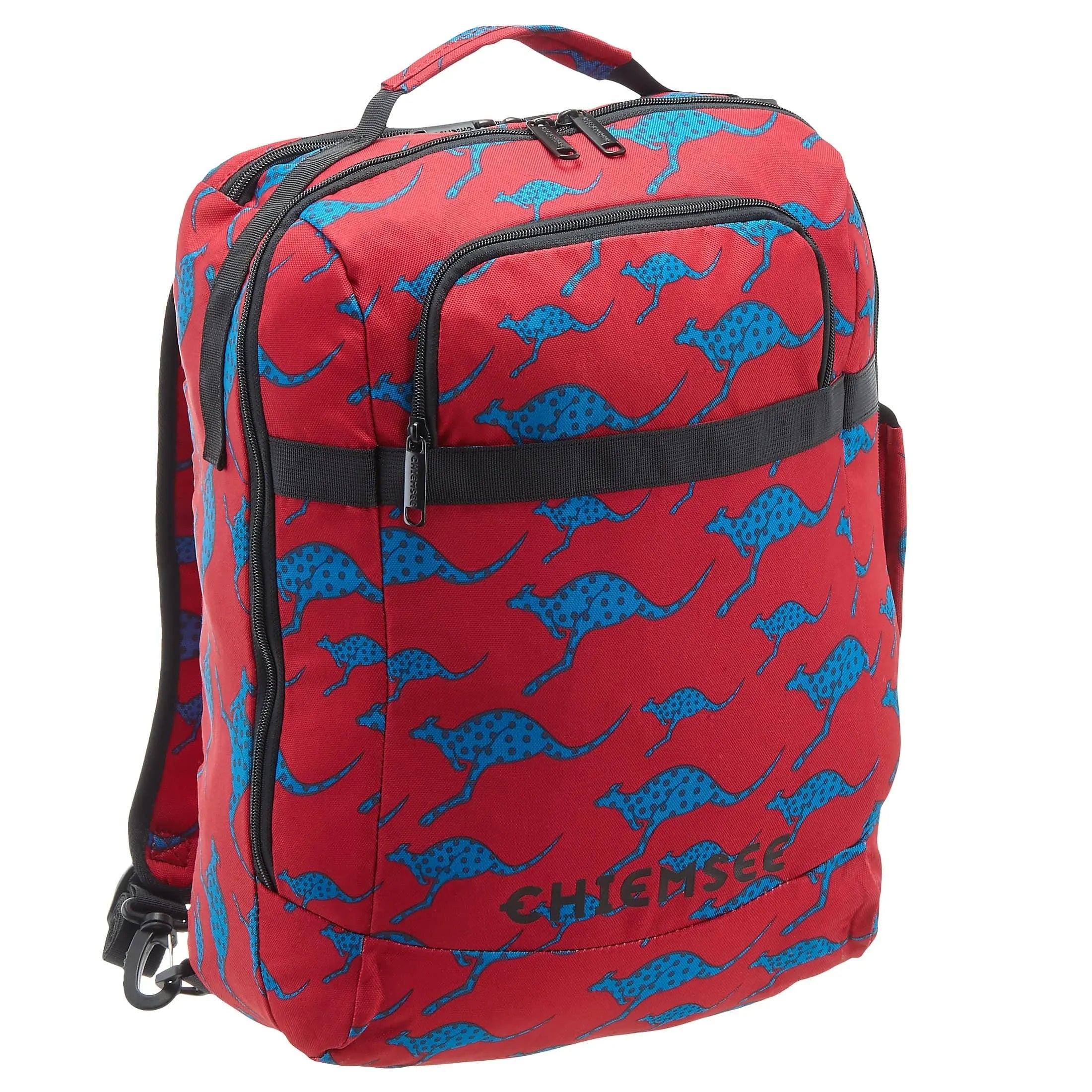 Chiemsee Sports & Travel Bags Travel Rucksack 41 cm - melange
