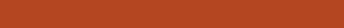 Banner Uni RostOrange