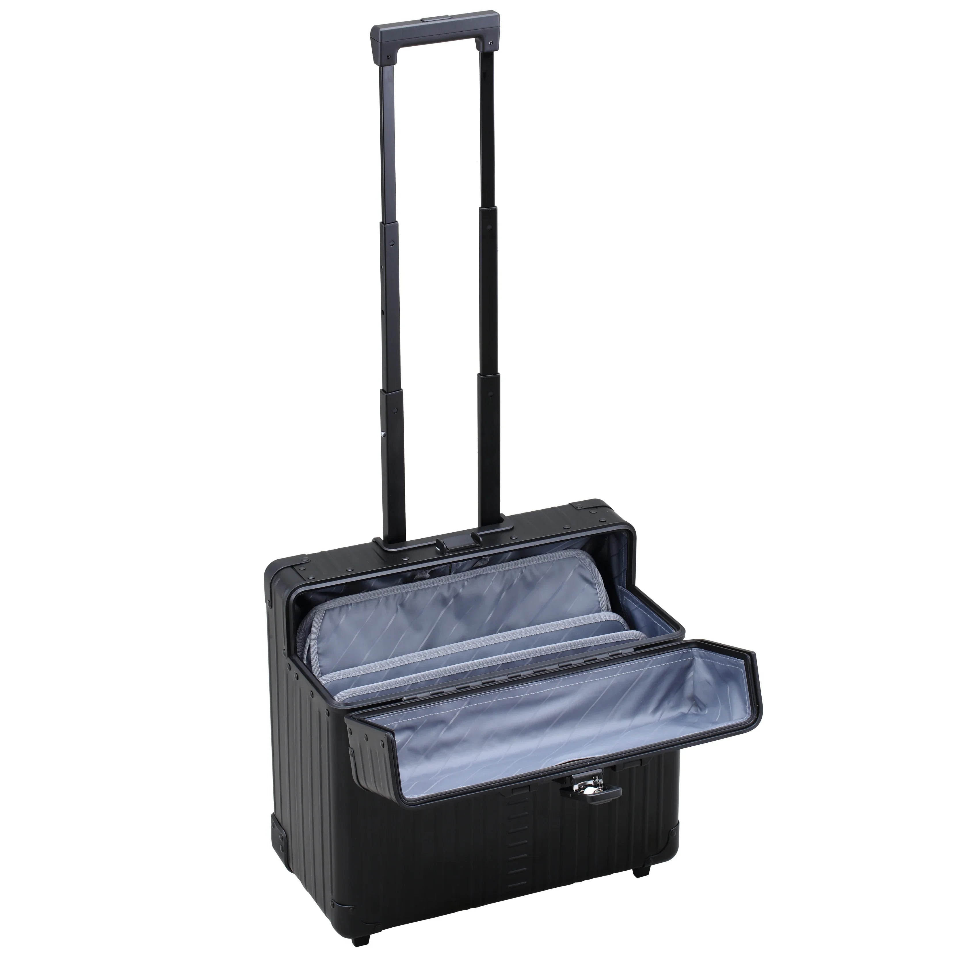 Aleon 2-wheel pilot suitcase 17 inch 42 cm - Platinum