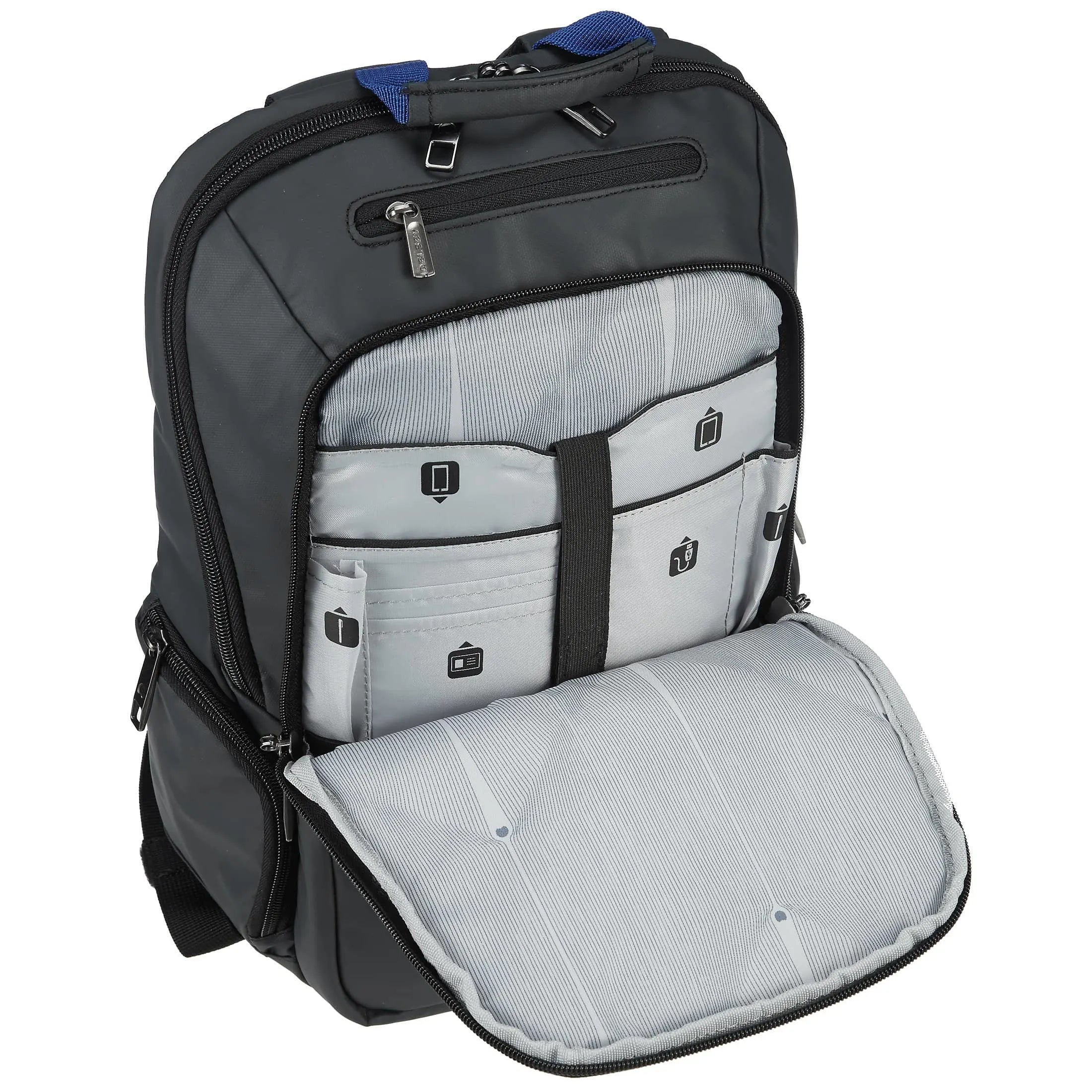 Delsey sales parvis backpack