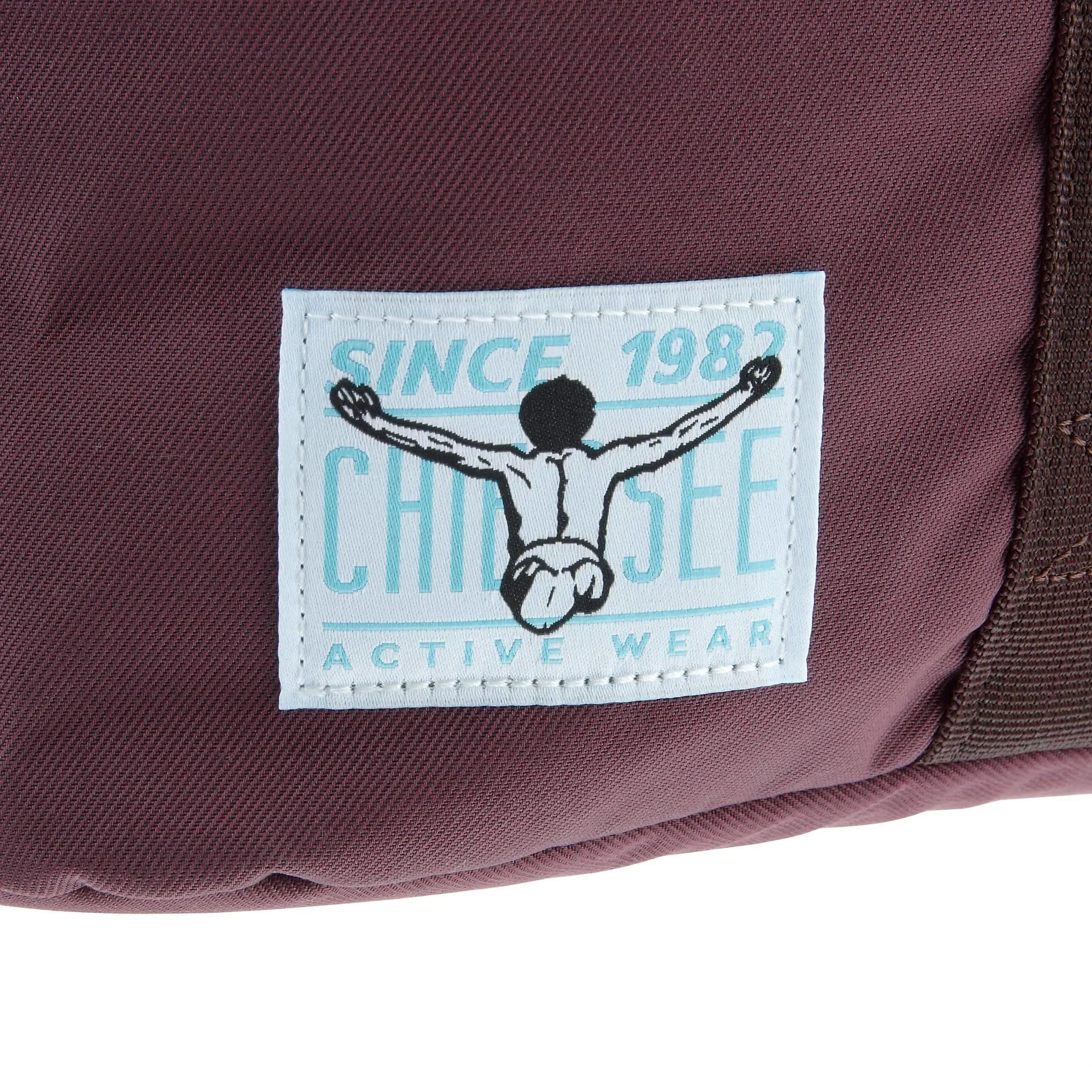 Chiemsee Urban Explorer Oslo Backpack 50 cm - huckleberry