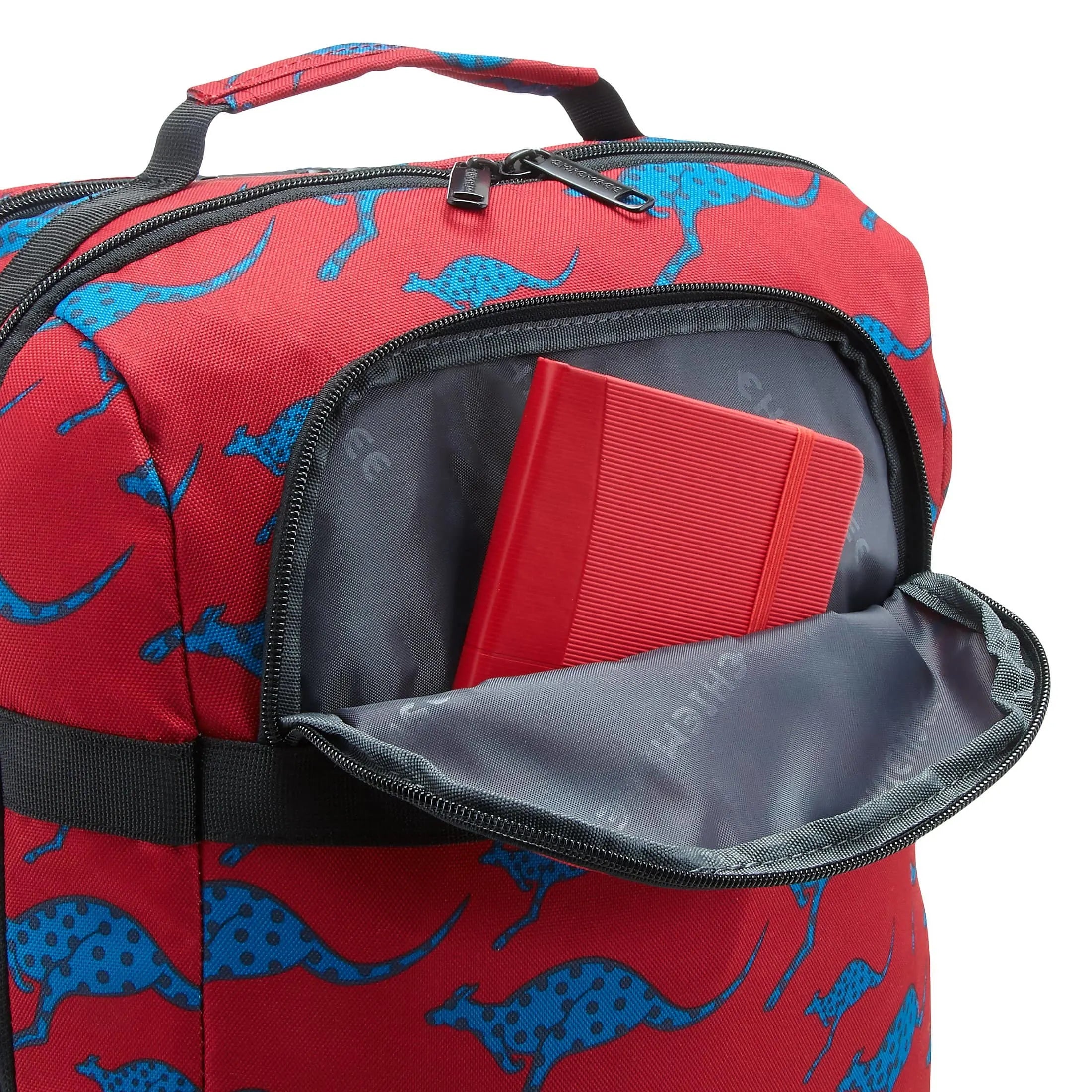Chiemsee Sports & Travel Bags Travel Rucksack 41 cm - melange