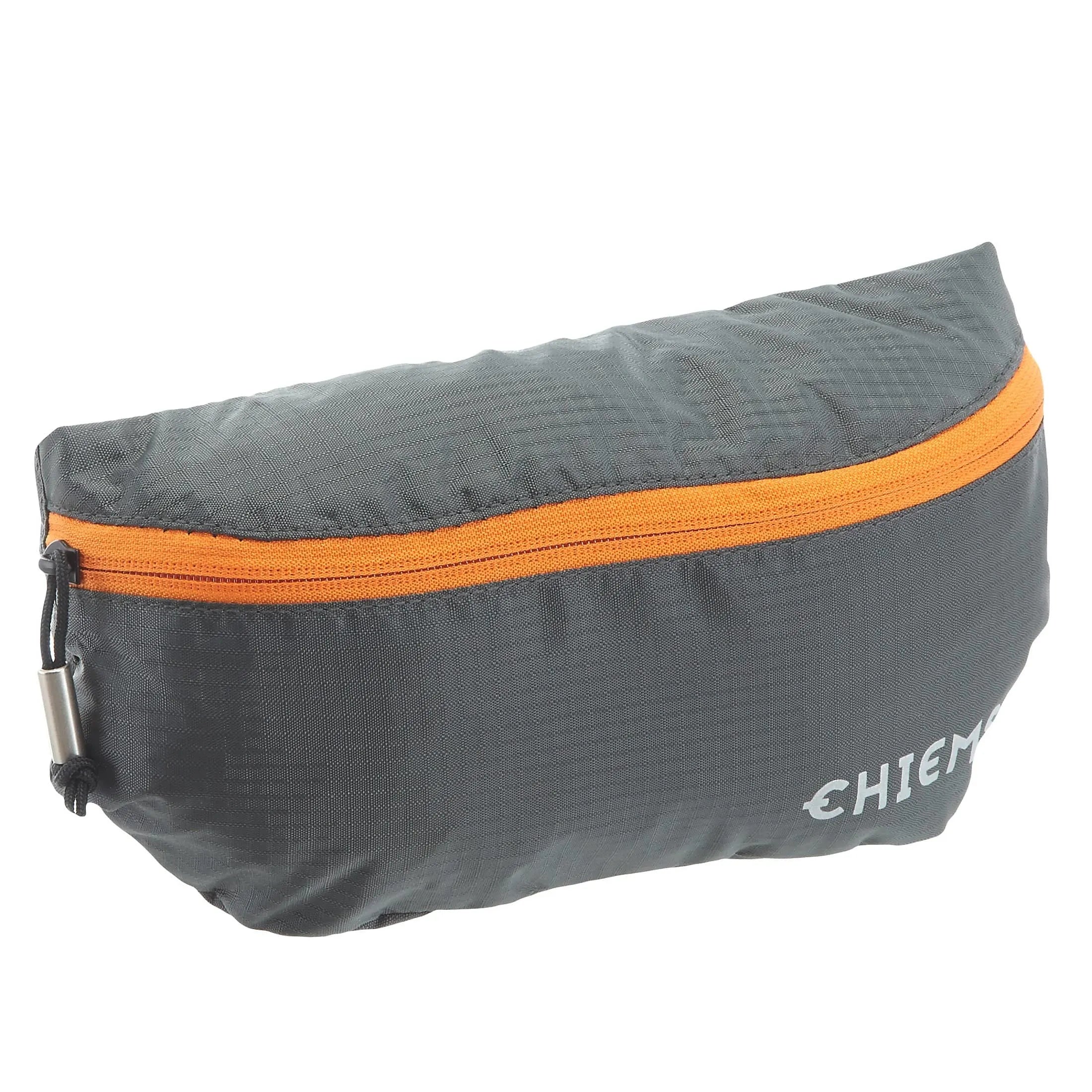 Chiemsee Sports &amp; Travel Bags sac ceinture 39 cm - ébène